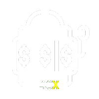  48X